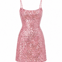 Pink Sequin Women's Dress