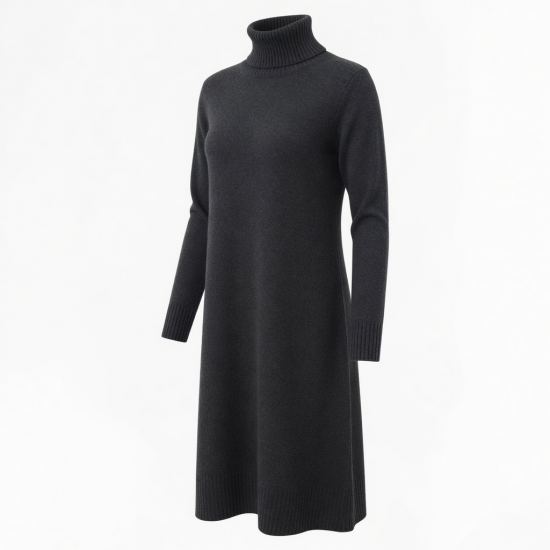 Turtleneck Long Sleeve Casual Winter Women's Dress